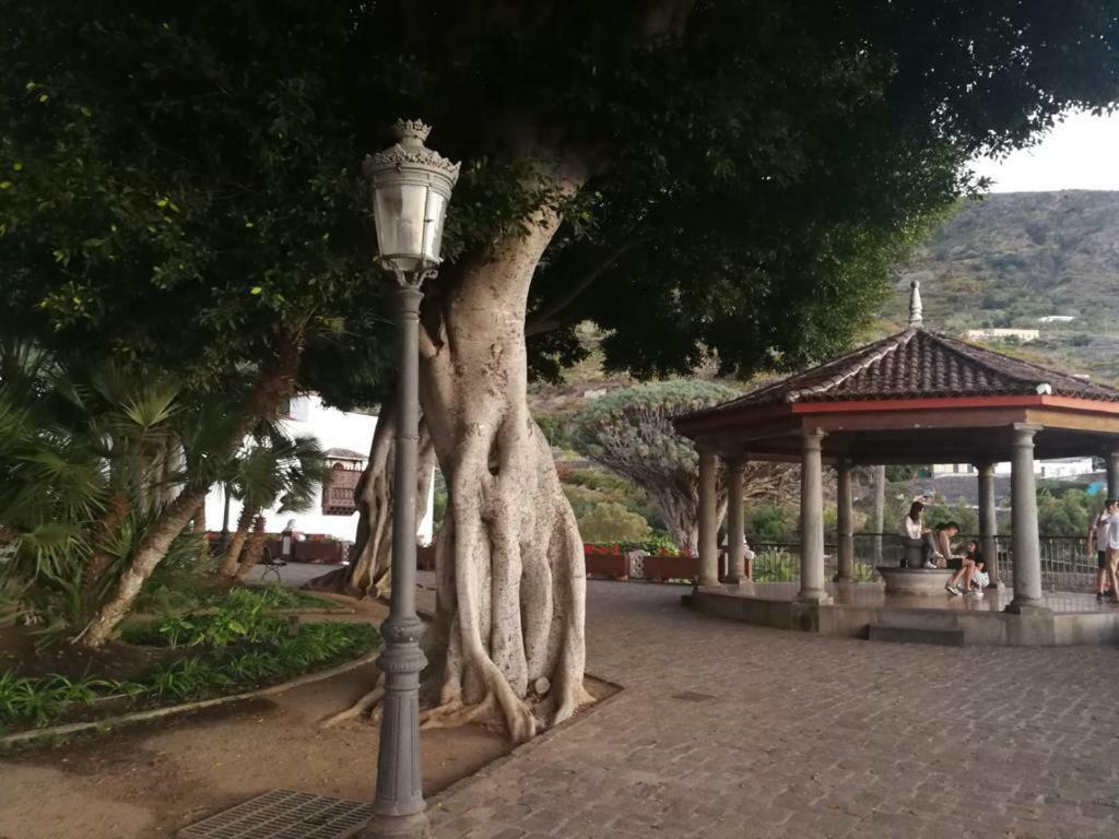 Piso En Icod De Los Vinos Daire Dış mekan fotoğraf